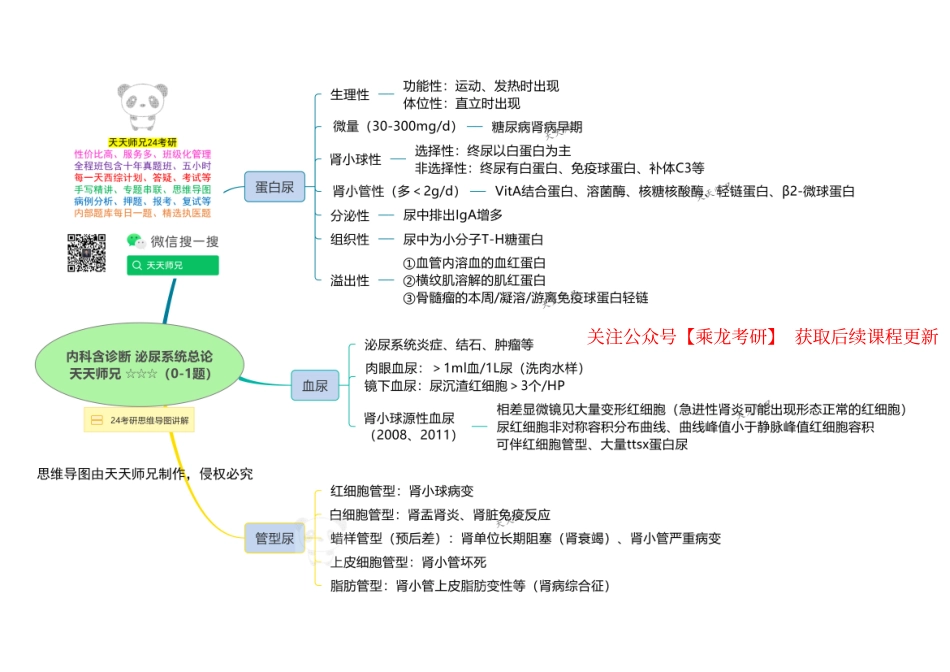 内科含诊断 泌尿系统总论 思维导图.pdf_第1页