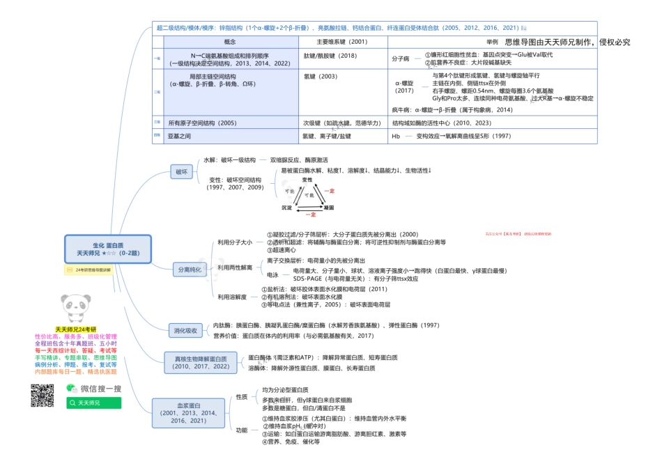 生化 蛋白质 思维导图.pdf_第1页
