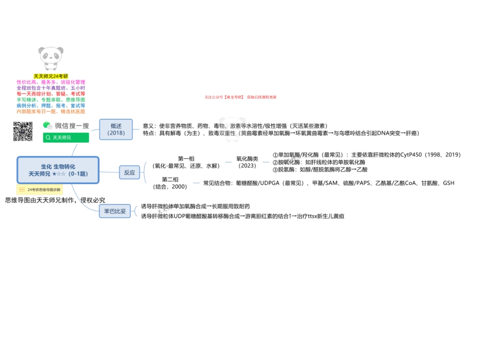 生化 生物转化 思维导图.pdf_第1页