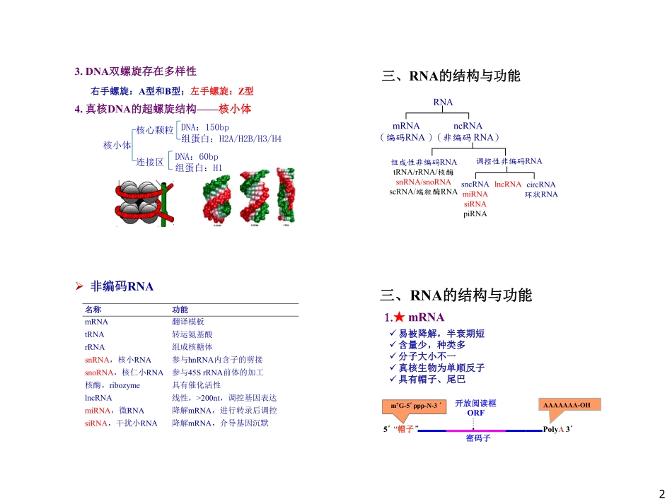 生化冲刺讲义-2.pdf_第2页