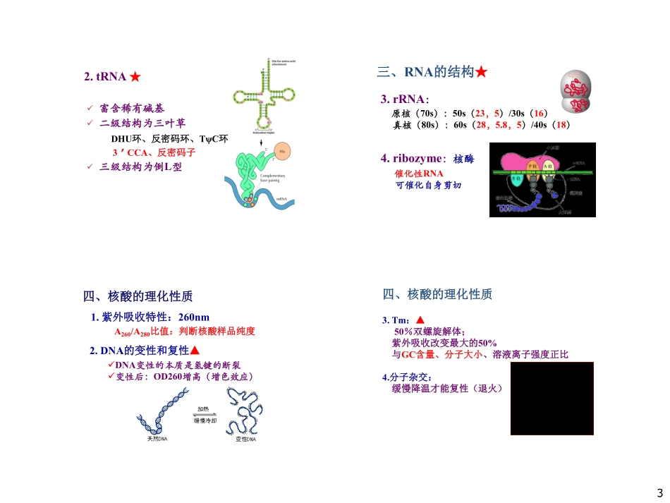 生化冲刺讲义-2.pdf_第3页