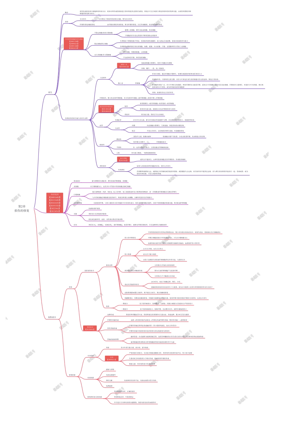 思维导图-第2章-损伤的修复.pdf_第1页