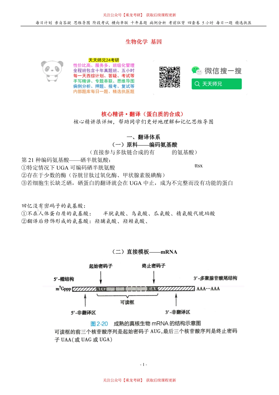 填空式讲义：生化 翻译 核心-导图-真题-串联 天天师兄24考研 冲.pdf_第1页