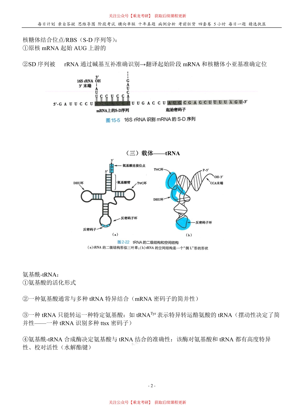 填空式讲义：生化 翻译 核心-导图-真题-串联 天天师兄24考研 冲.pdf_第2页