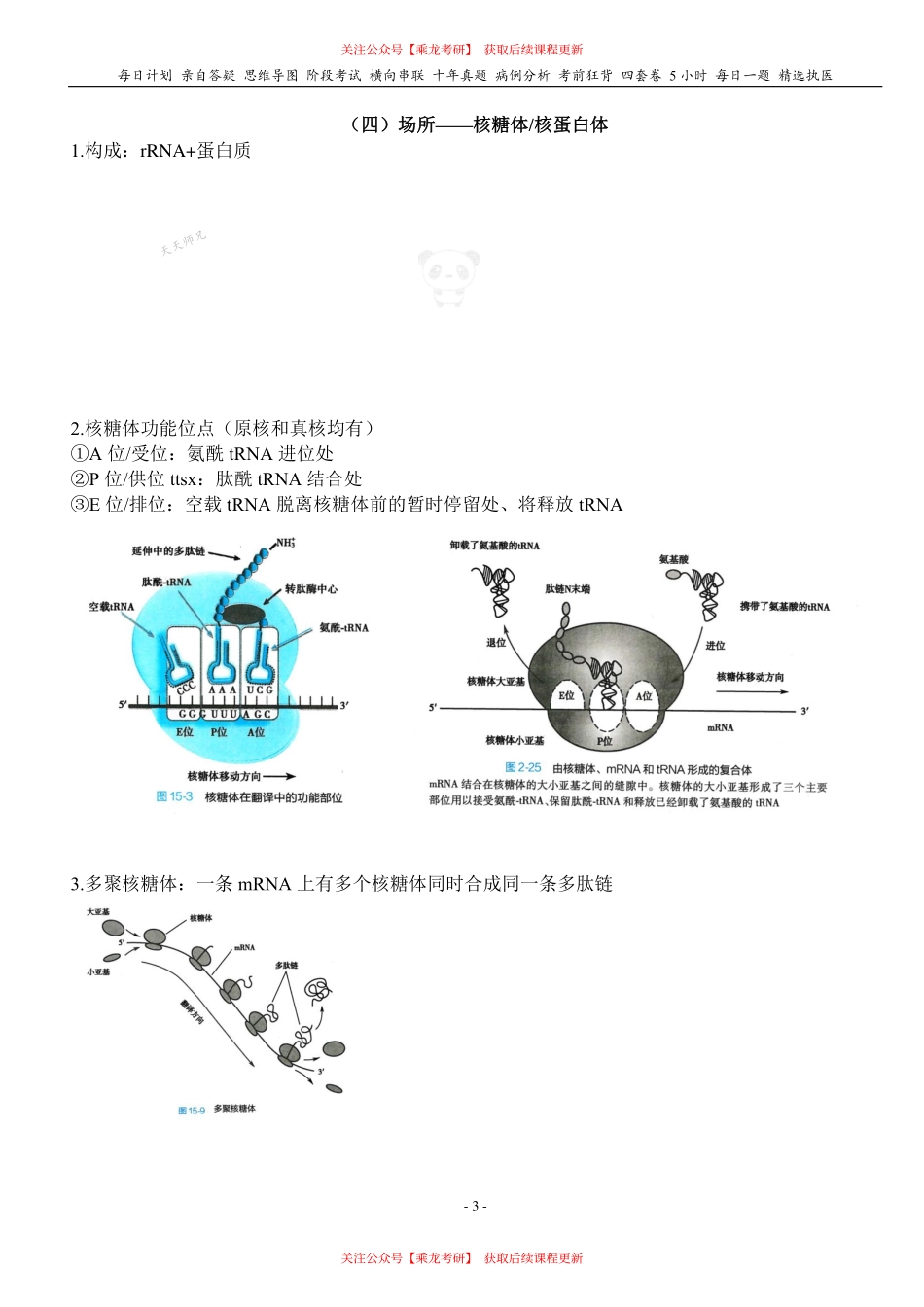 填空式讲义：生化 翻译 核心-导图-真题-串联 天天师兄24考研 冲.pdf_第3页