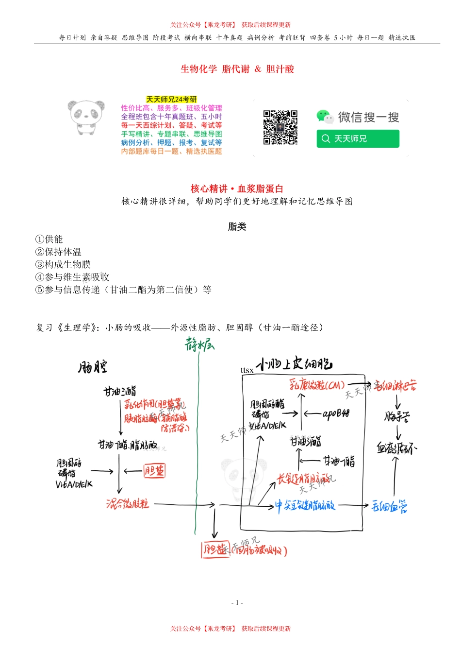 填空式讲义：生化 血浆脂蛋白 核心-导图-真题-串联 天天师兄24考研 冲.pdf_第1页