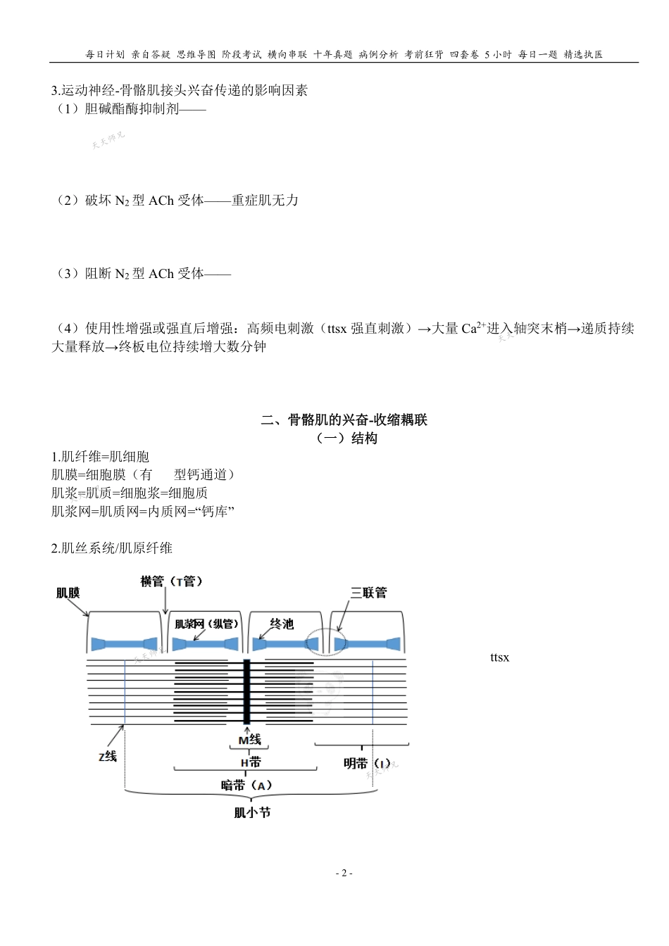 填空式讲义：生理 横纹肌收缩 核心-导图-真题-串联 天天师兄24考研 冲.pdf_第2页