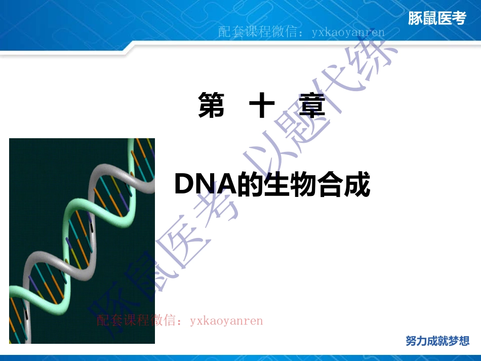 WM_10.生化第十章-DNA的生物合成 .pdf_第2页