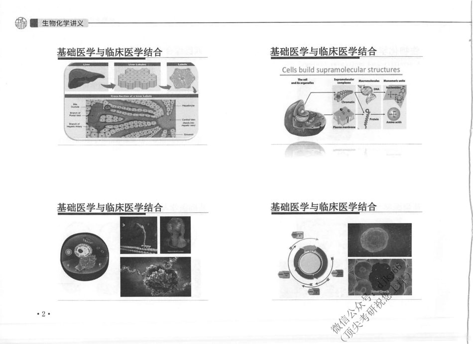 2024刘忠宝考研西综生化精讲讲义.pdf_第3页
