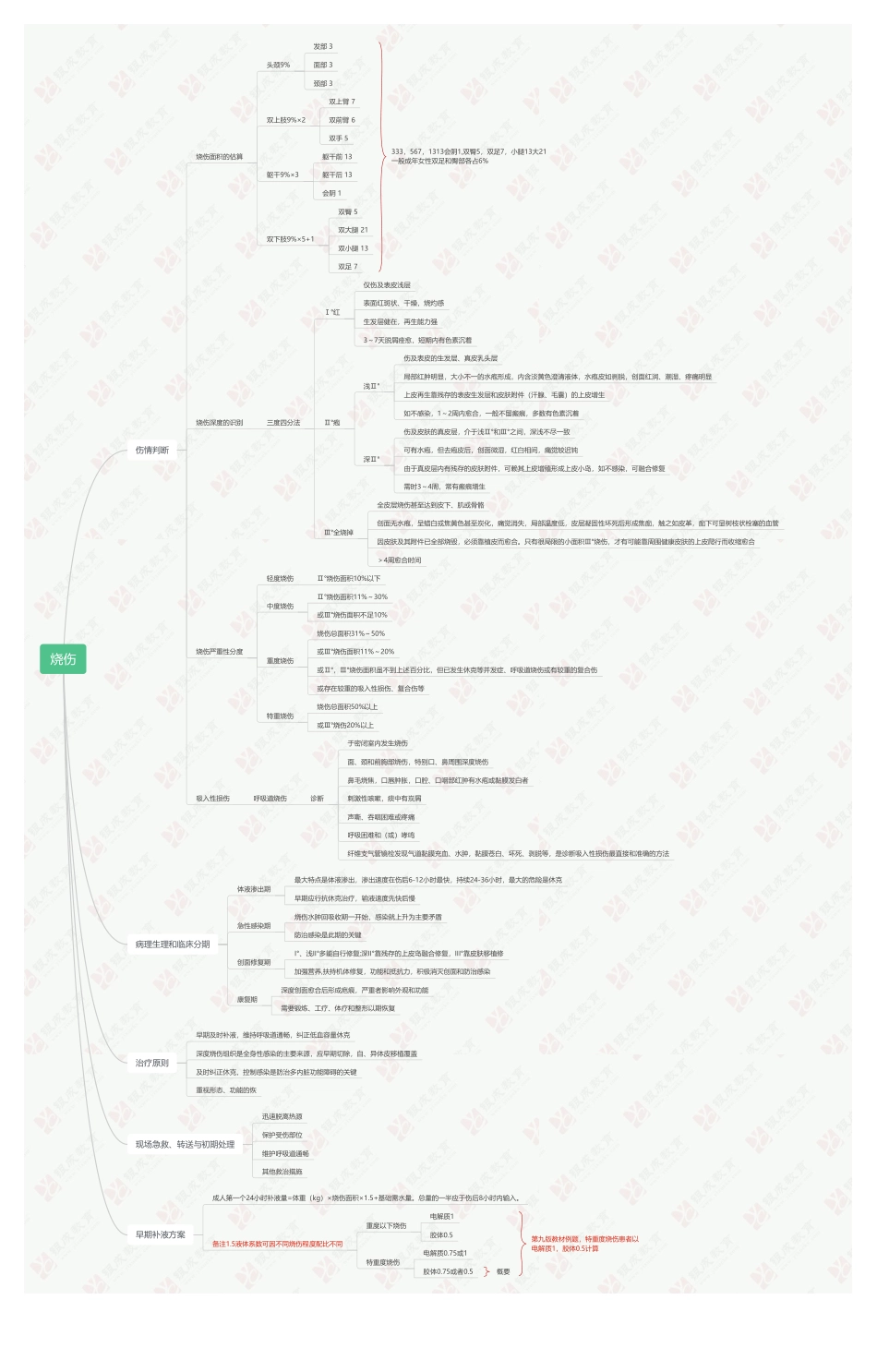 银成医考刘子言考研烧伤.pdf_第1页