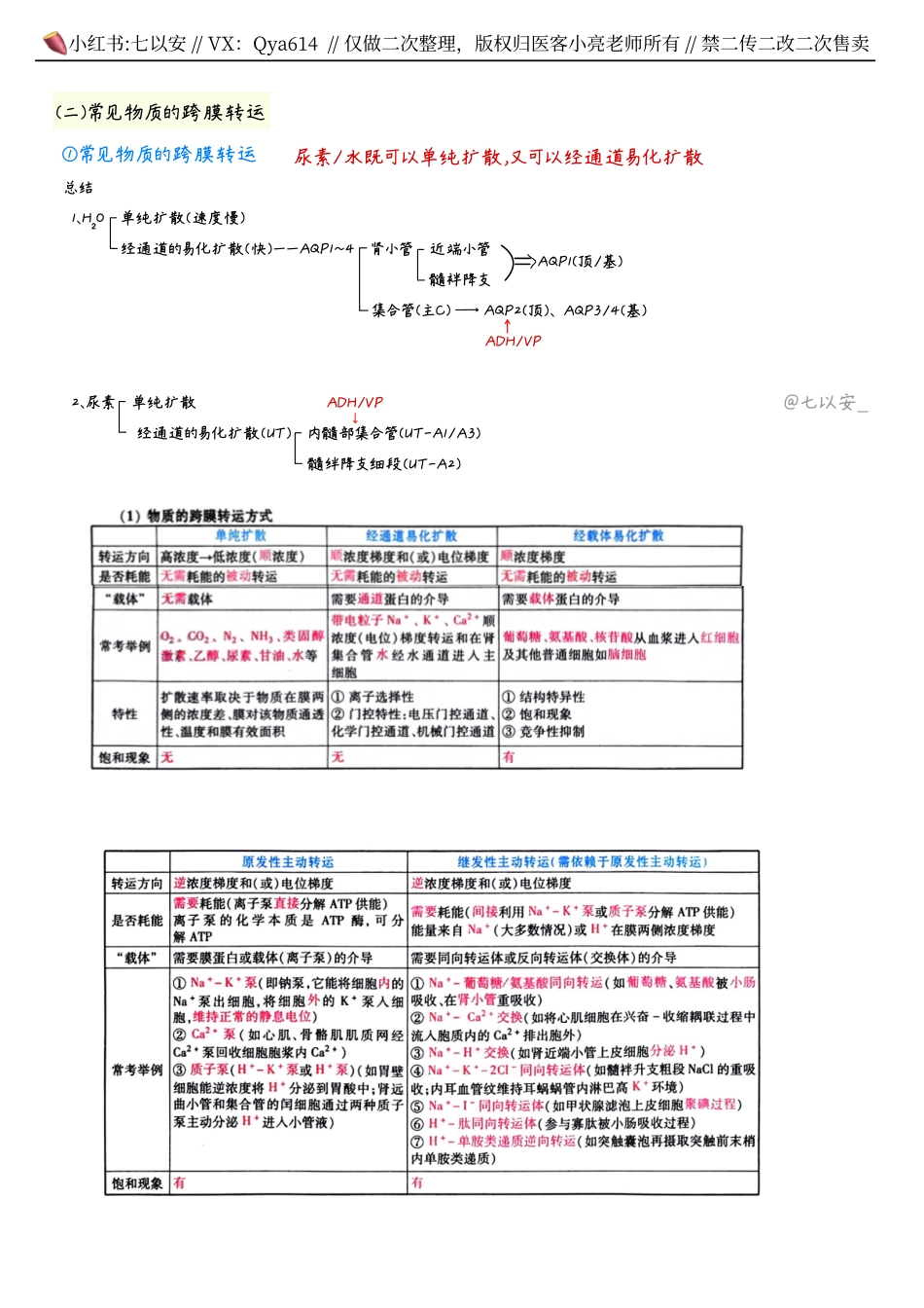 六小时笔记-生理.pdf_第3页