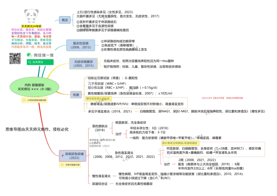 内科 尿路感染 思维导图.pdf_第1页