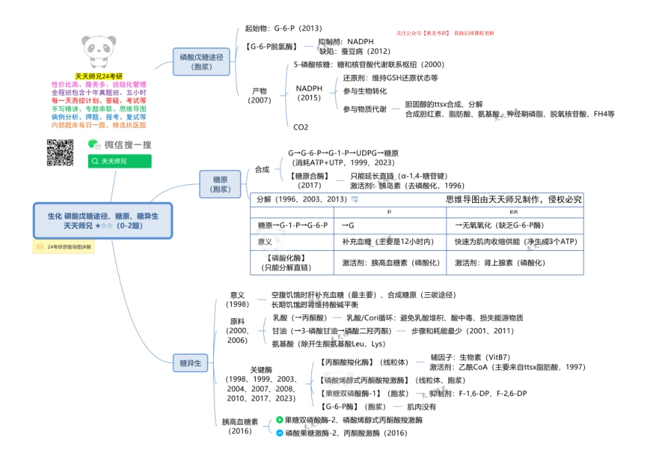 生化 磷酸戊糖途径、糖原、糖异生 思维导图.pdf_第1页