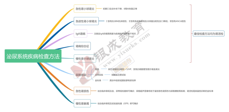 思维导图-泌尿系统疾病检查方法 .pdf_第1页