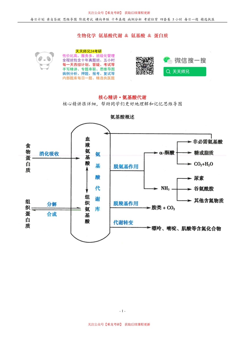 填空式讲义：生化 氨基酸代谢 & 氨基酸 核心-导图-真题-串联 天天师兄24考研 冲.pdf_第1页