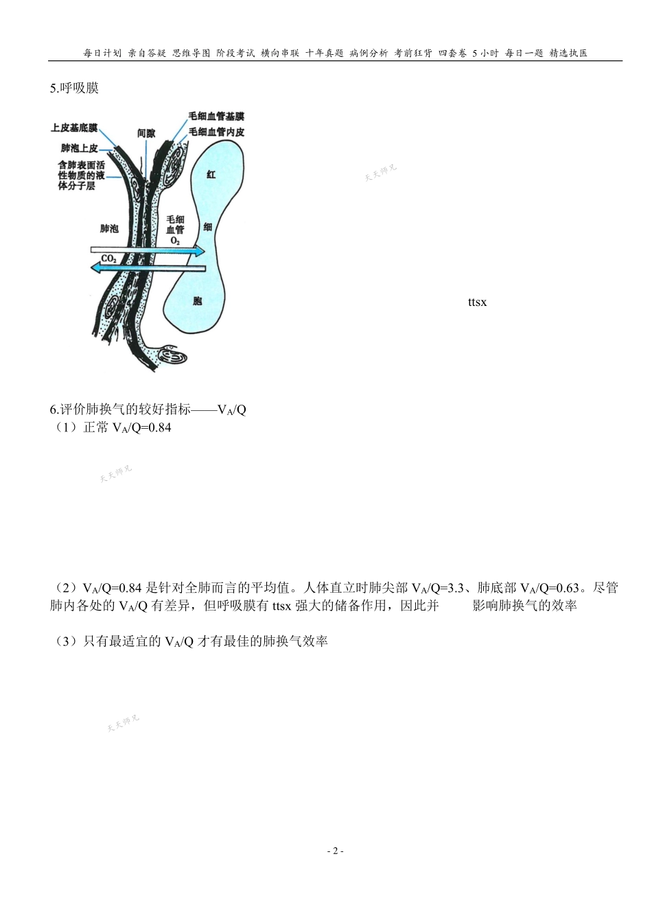 填空式讲义：生理 肺换气和气体运输 核心-导图-真题-串联 天天师兄24考研 冲.pdf_第2页