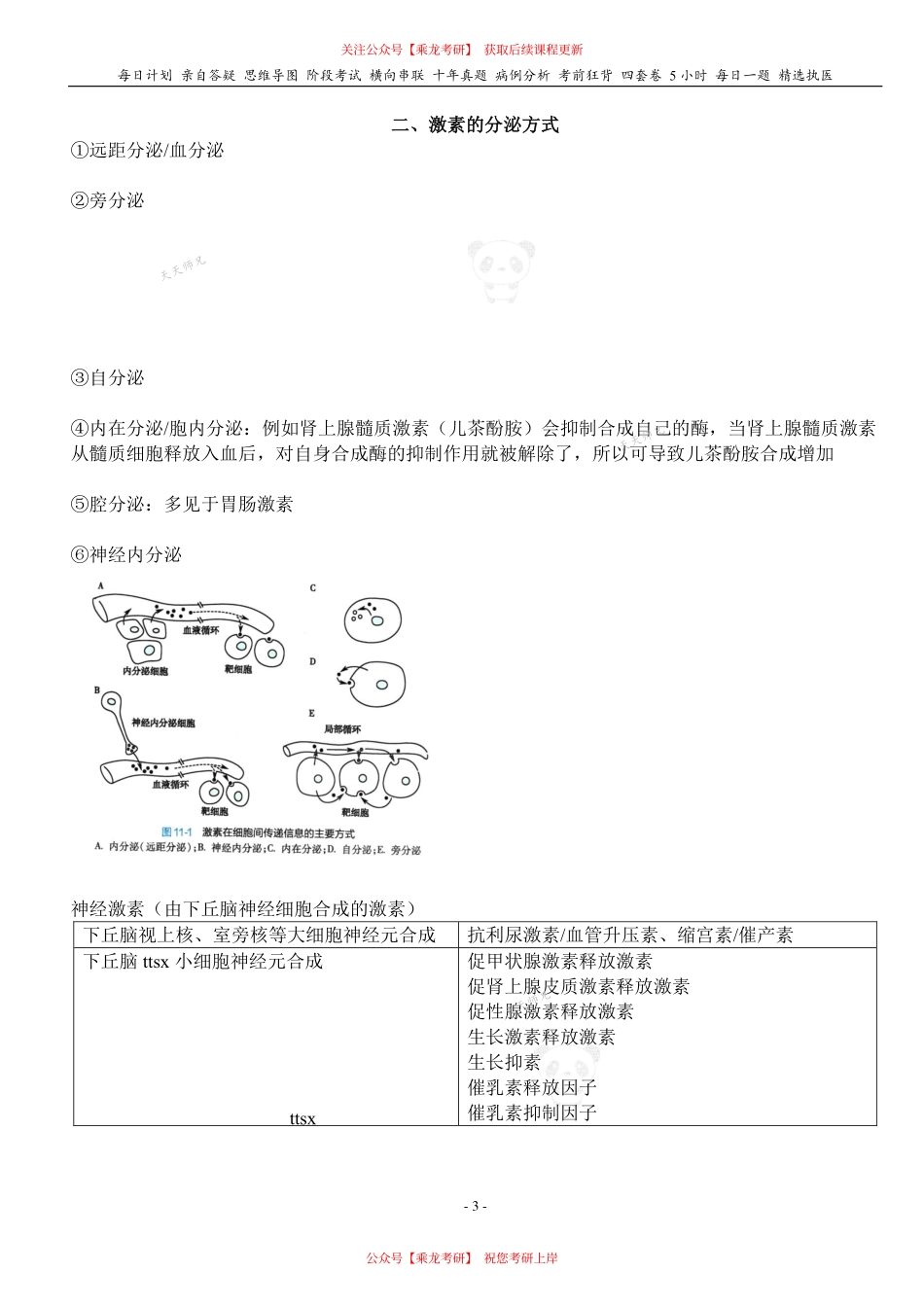 填空式讲义：生理 内分泌概述 核心-导图-真题-串联 天天师兄24考研 冲.pdf_第3页