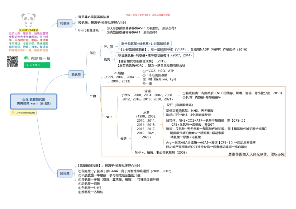 生化 氨基酸代谢 思维导图.pdf_第1页