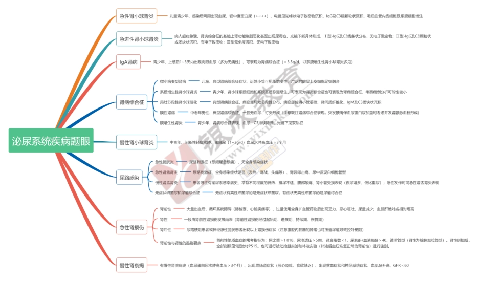 思维导图-泌尿系统疾病题眼 .pdf_第1页