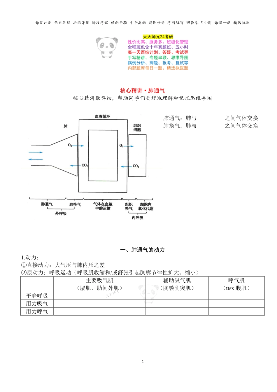 填空式讲义：生理 肺通气 核心-导图-真题-串联 天天师兄24考研 冲.pdf_第2页