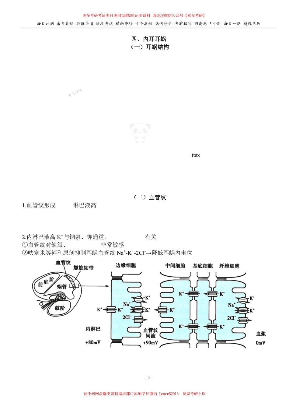 填空式讲义：生理 听觉 核心-导图-真题-串联 天天师兄24考研 冲.pdf_第3页