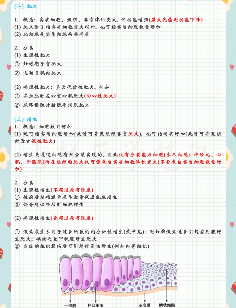 医学笔记-病理学 .pdf_第3页