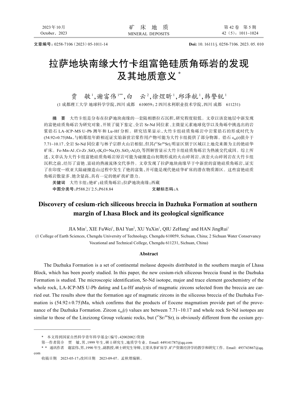 拉萨地块南缘大竹卡组富铯硅质角砾岩的发现及其地质意义.pdf_第1页