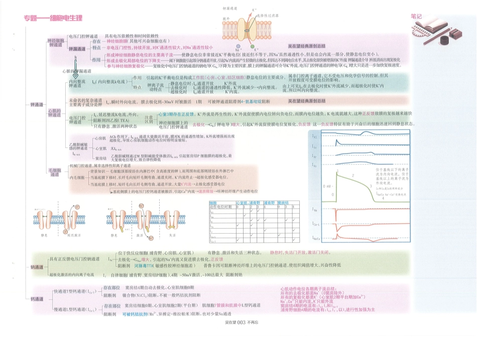 2024吴4：吴在望西综跨学科按系统图谱复习.pdf_第3页