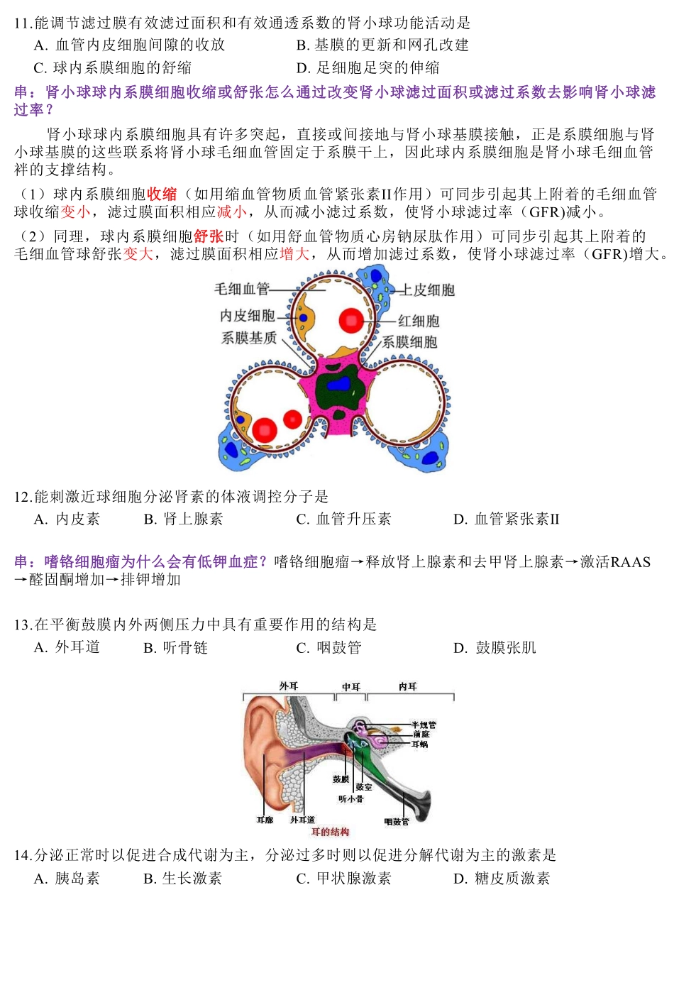 真题班补充讲义【2020真题】.pdf_第3页