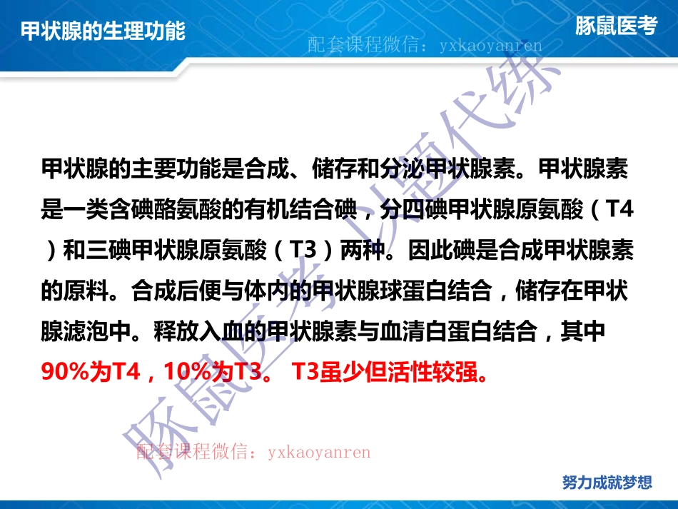 WM_3.内分泌-真题课-甲状腺功能亢进症 .pdf_第2页