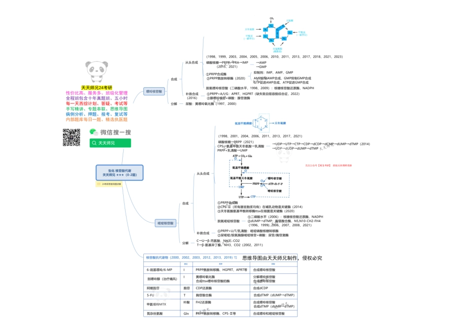 生化 核苷酸代谢 思维导图.pdf_第1页