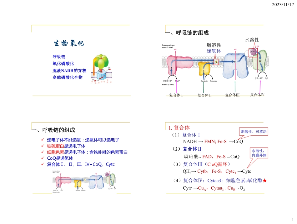 生化冲刺讲义-5.pdf_第1页