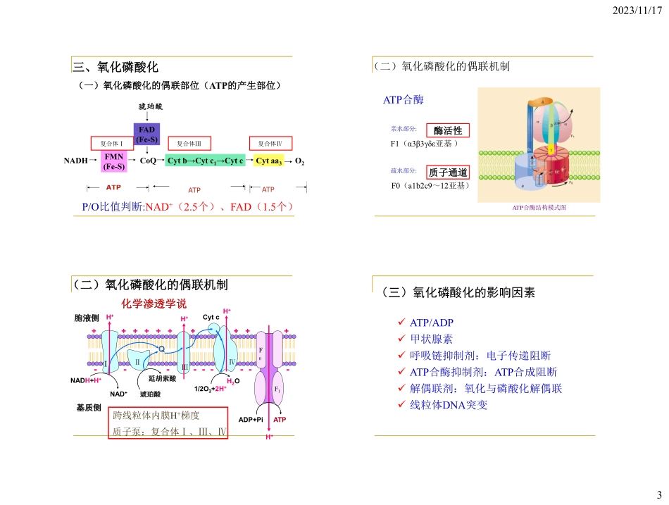 生化冲刺讲义-5.pdf_第3页