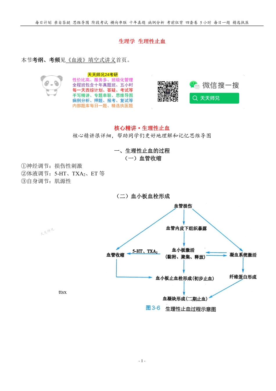 填空式讲义：生理 生理性止血 核心-导图-真题-串联 天天师兄24考研 冲.pdf_第1页