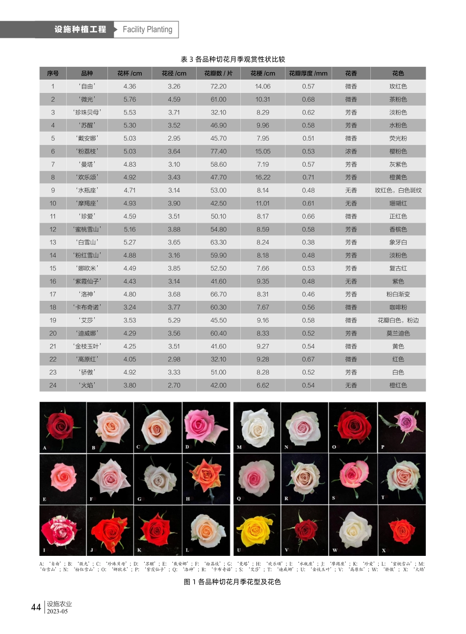 兰州地区引种切花月季适应性研究及品种筛选.pdf_第3页