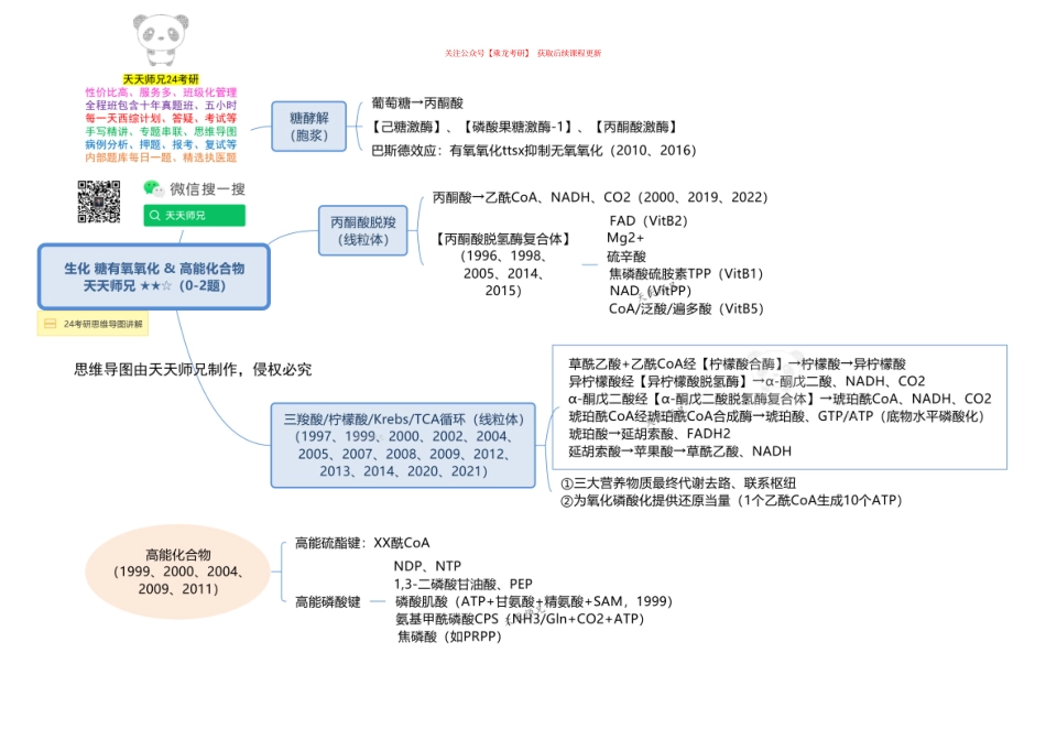 生化 糖有氧氧化&高能化合物 思维导图.pdf_第1页