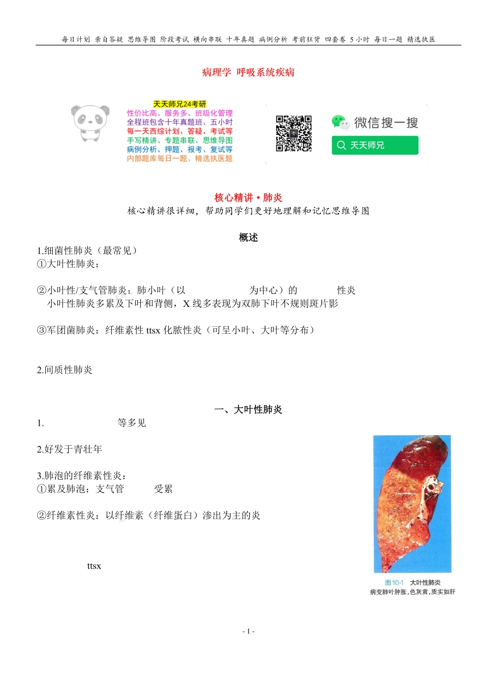 填空式讲义：病理 肺炎 核心-导图-真题-串联 天天师兄24考研 冲.pdf_第1页