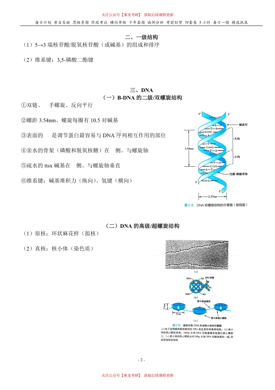 填空式讲义：生化 核酸 核心-导图-真题-串联 天天师兄24考研 冲.pdf_第2页