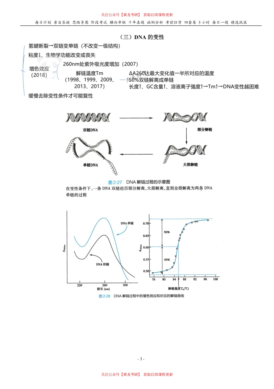 填空式讲义：生化 核酸 核心-导图-真题-串联 天天师兄24考研 冲.pdf_第3页