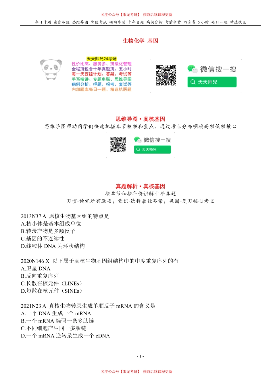 填空式讲义：生化 真核基因 核心-导图-真题-串联 天天师兄24考研 冲.pdf_第1页