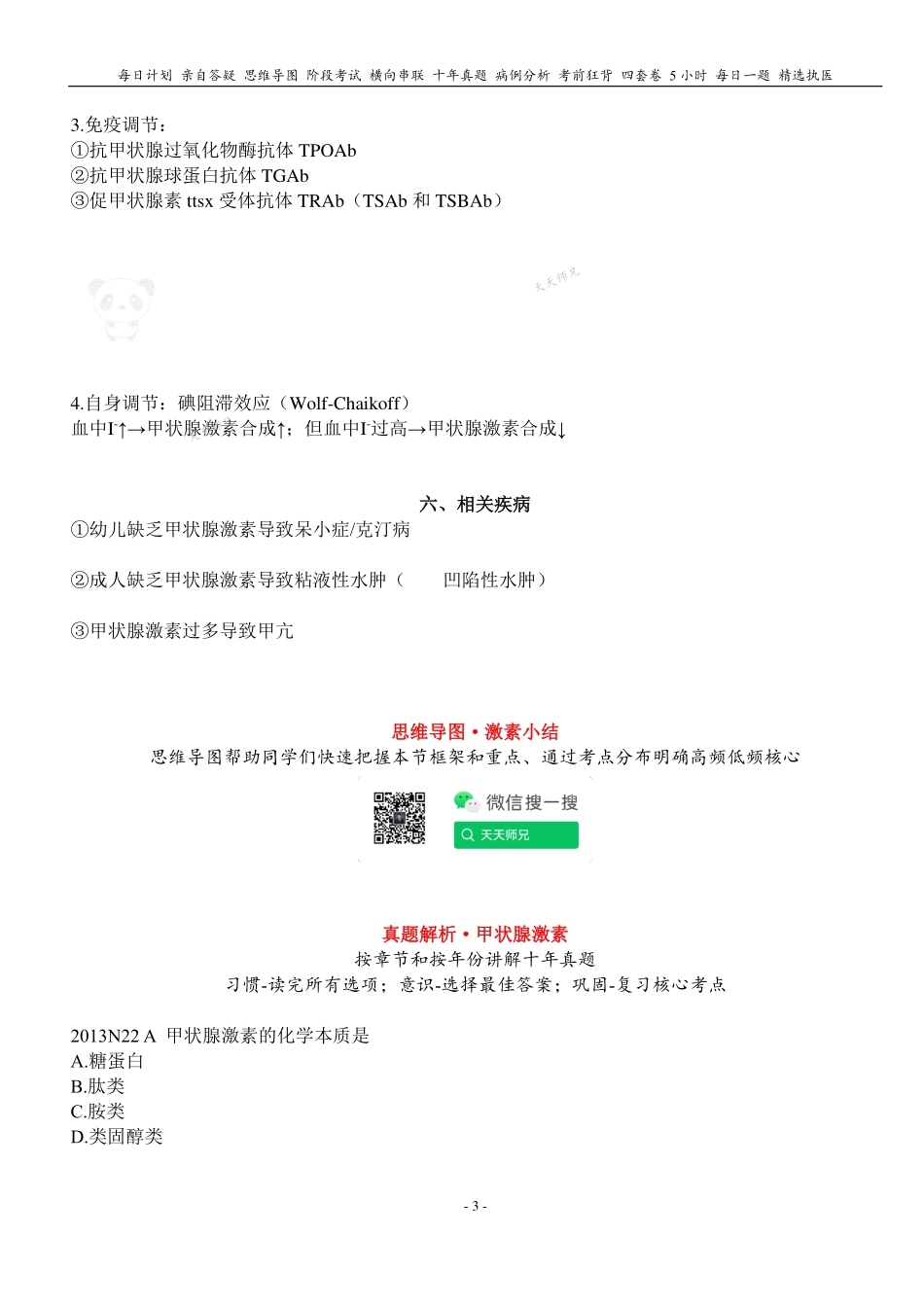 填空式讲义：生理 甲状腺激素 核心-导图-真题-串联 天天师兄24考研 冲.pdf_第3页