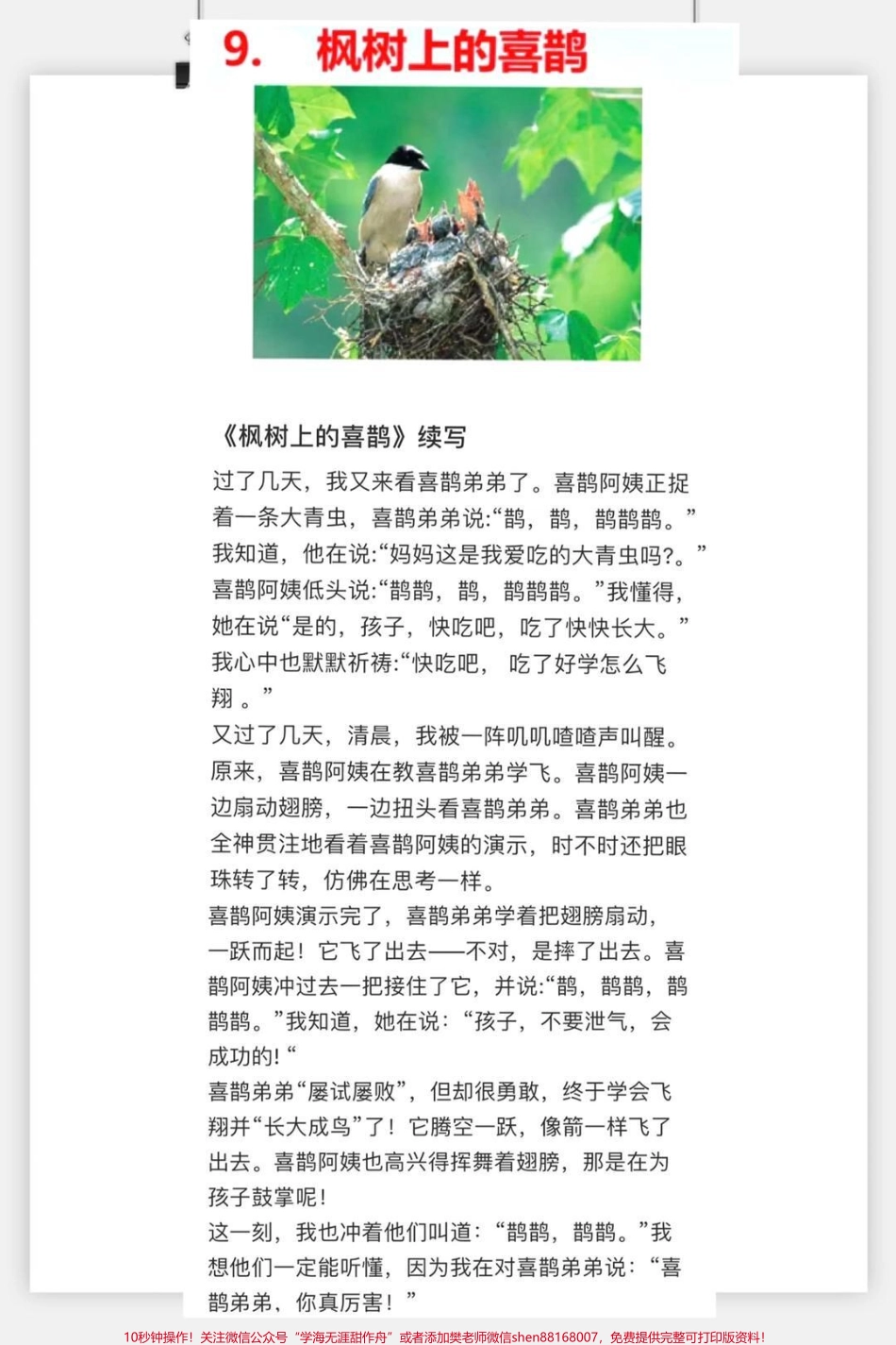 #一年级 #二年级 #作文 #抖音潮流东方季 #抖音小助手 #小学语文 #知识点总结.pdf_第3页