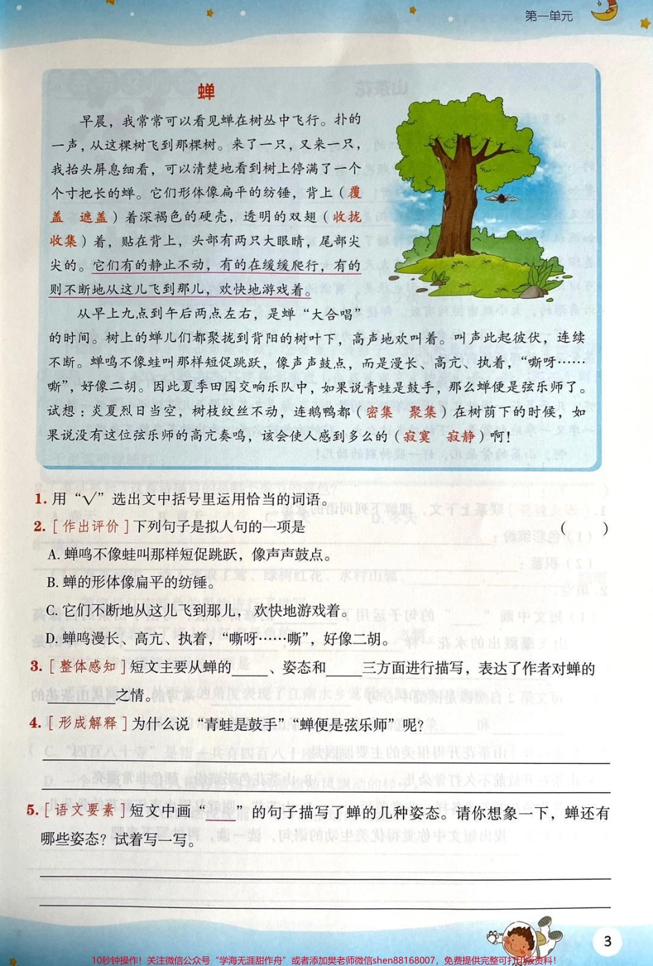 #语文 #阅读理解 #写作素材 #父母课堂 #二年级 #三年级 #孩子教育.pdf_第2页