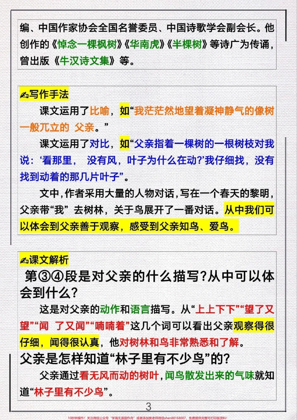 三年级上册语文第23课《父亲`树林和鸟》.pdf_第3页