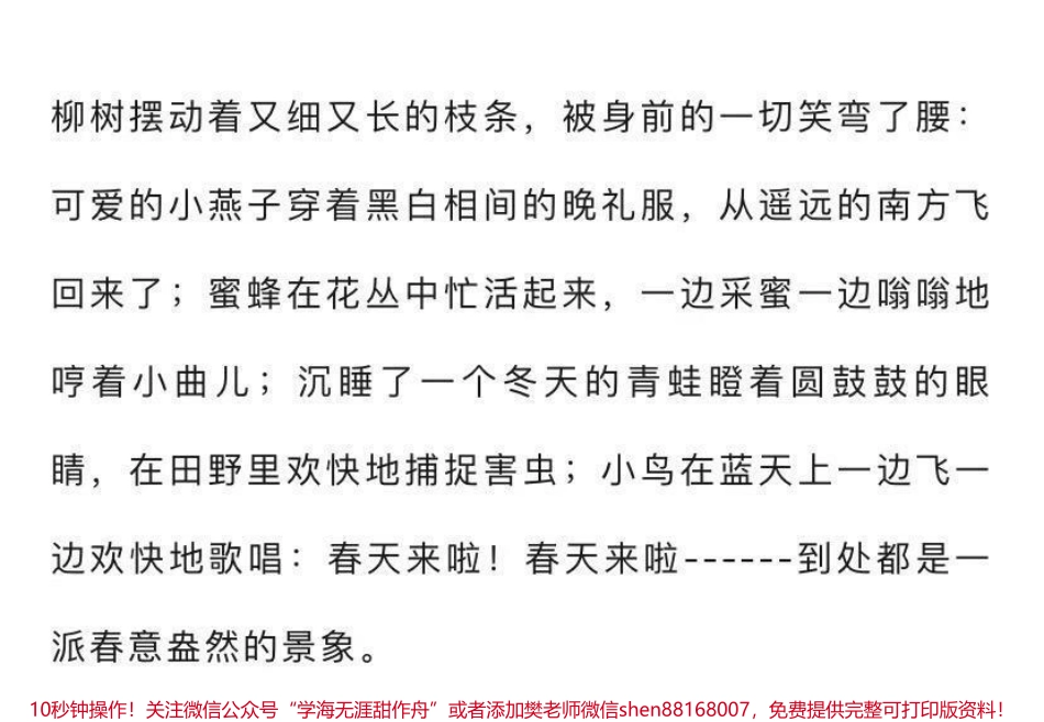 描写春天景物的看图写话范文6篇家长替孩子保存吧♥️.pdf_第3页