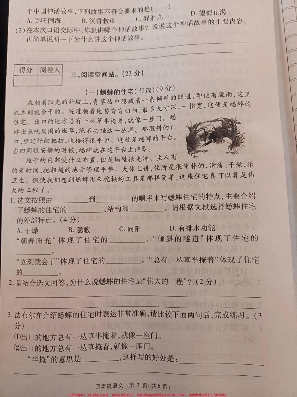 四年级上册语文期中试卷#四年级上册语文 #期中考试 #试卷.pdf_第3页