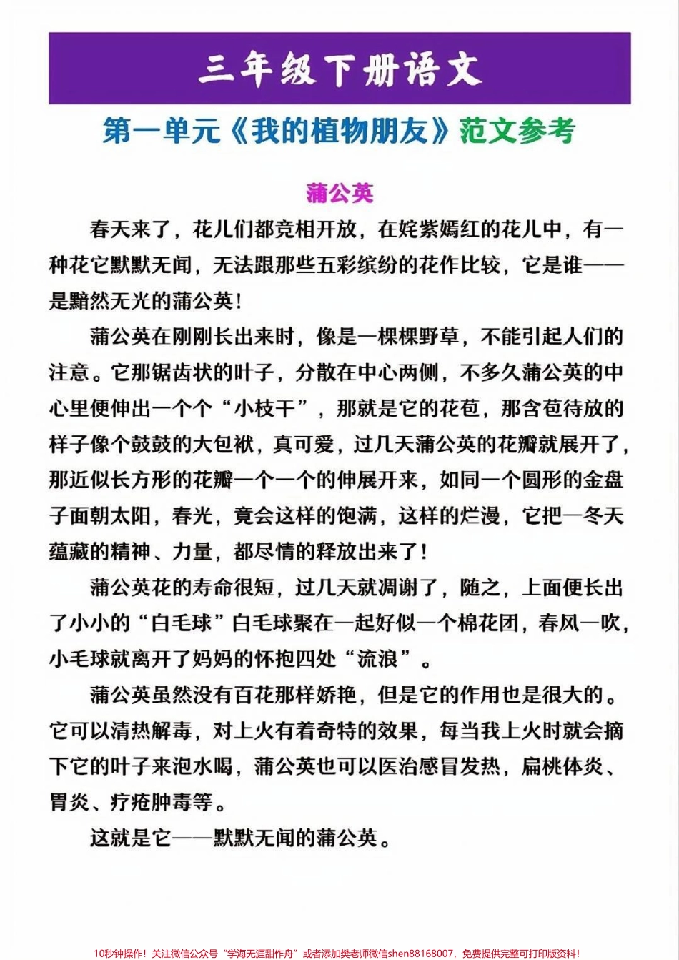 三年级下册语文第一单元同步作文参考范文#小学语文 #语文 #教育 #学习 #同步作文.pdf_第1页