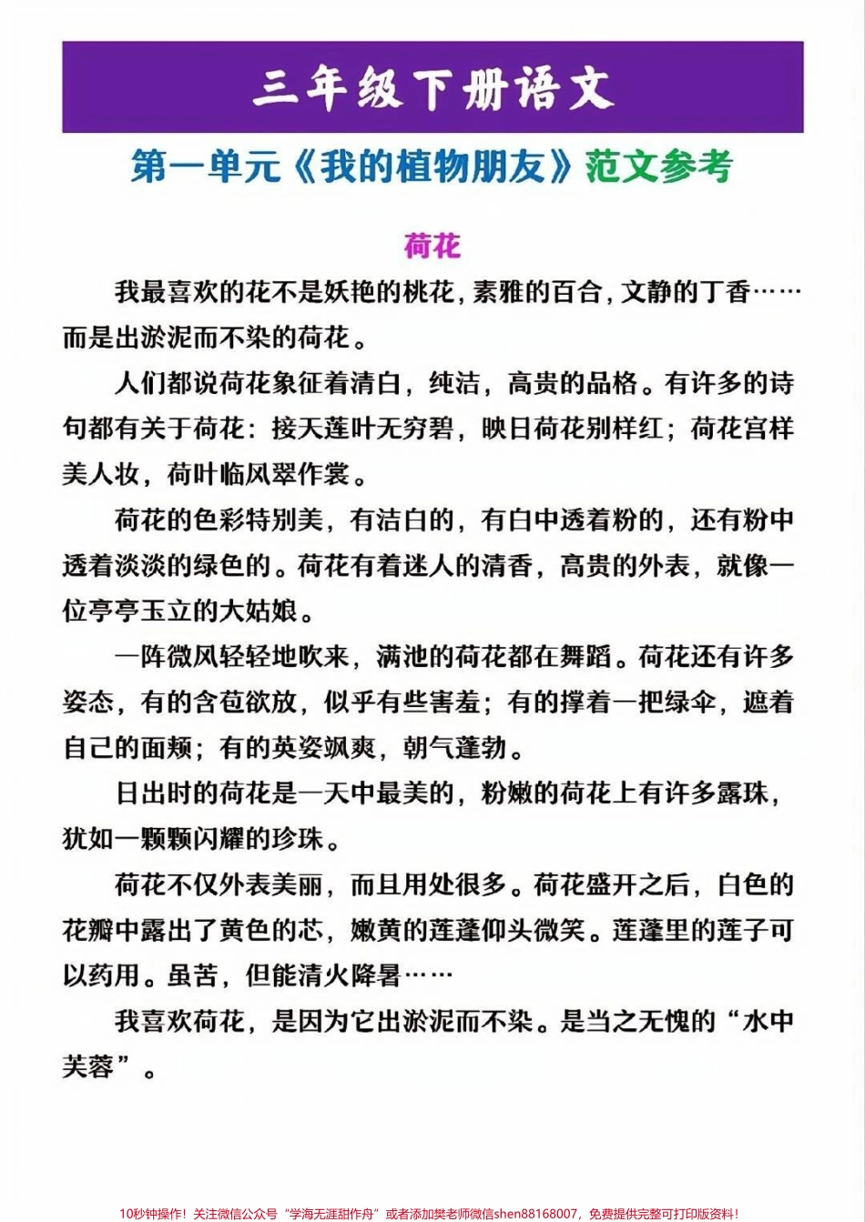 三年级下册语文第一单元同步作文参考范文#小学语文 #语文 #教育 #学习 #同步作文.pdf_第2页