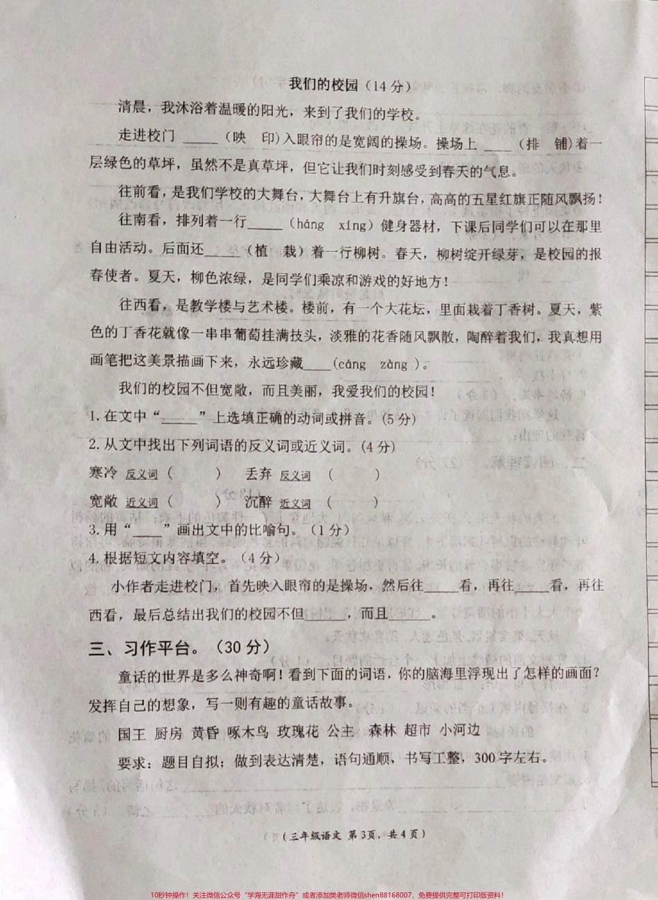 三年级上册期中语文试卷#三年级 #期中测试卷 #小学语文期中试卷.pdf_第3页