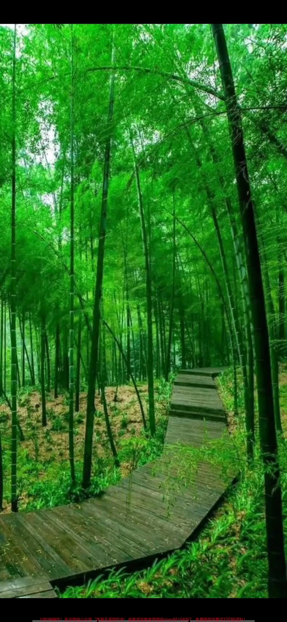 三年级上册语文20课《美丽的小兴安岭》.pdf_第1页